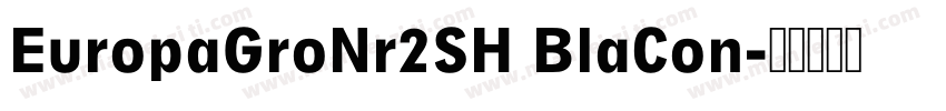EuropaGroNr2SH BlaCon字体转换